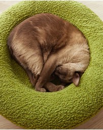 Cat St. - The Bungalow Bed