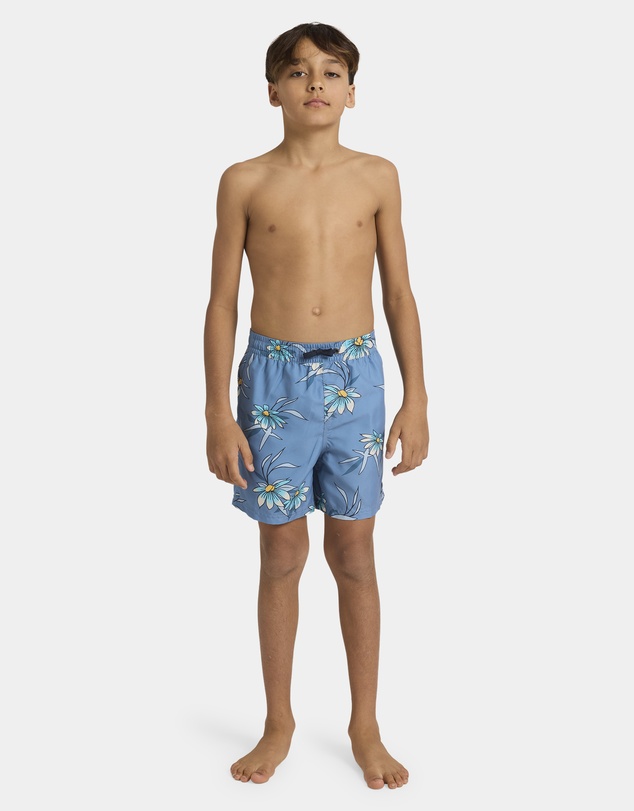 Quiksilver - Boys 8 to 16 Everyday 14