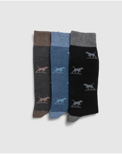 Rodd & Gunn - Dogs-A-Plenty Three Pack Socks