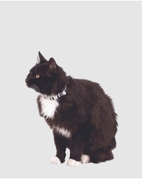 Mog & Bone - Hemp Cat Collar - Pebble Black Brush Stroke Print