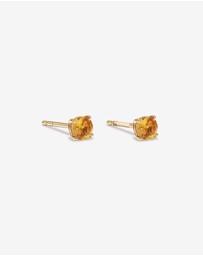 Michael Hill - Citrine Birthstone Studs in 10kt Yellow Gold