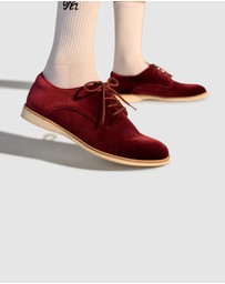 Rollie - Derby Velvet Shoe