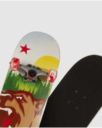 iWorld - Bravo Sports Kryptonics KR31 Star Series Skateboard - Swirled Bear