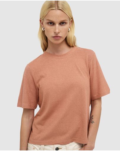 Terracotta