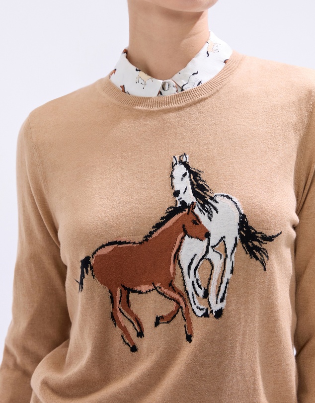 Marcs - Foal-mates CSC Knit Top