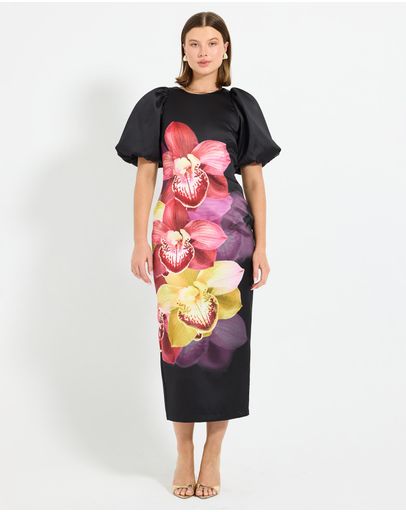 Black Orchid