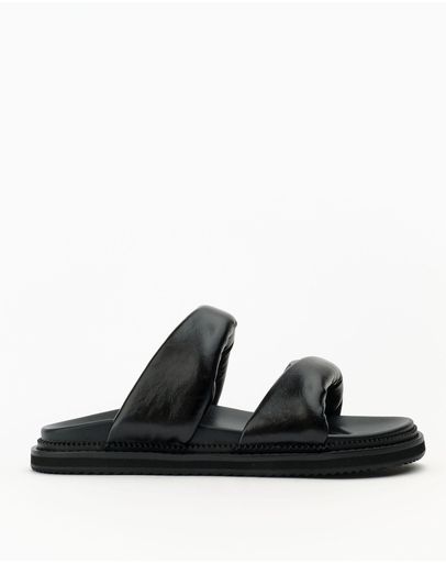 Blackoily