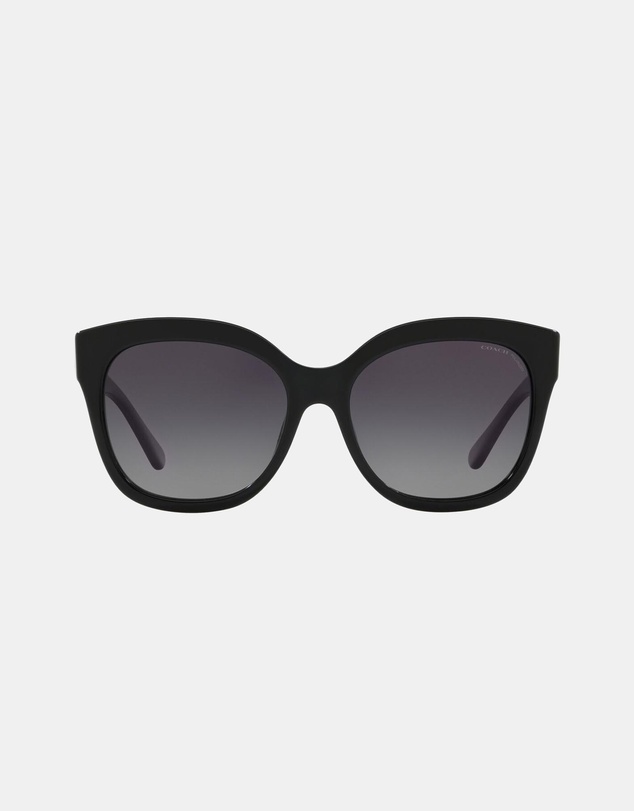 Coach - 0HC8264 L1083 Polarised