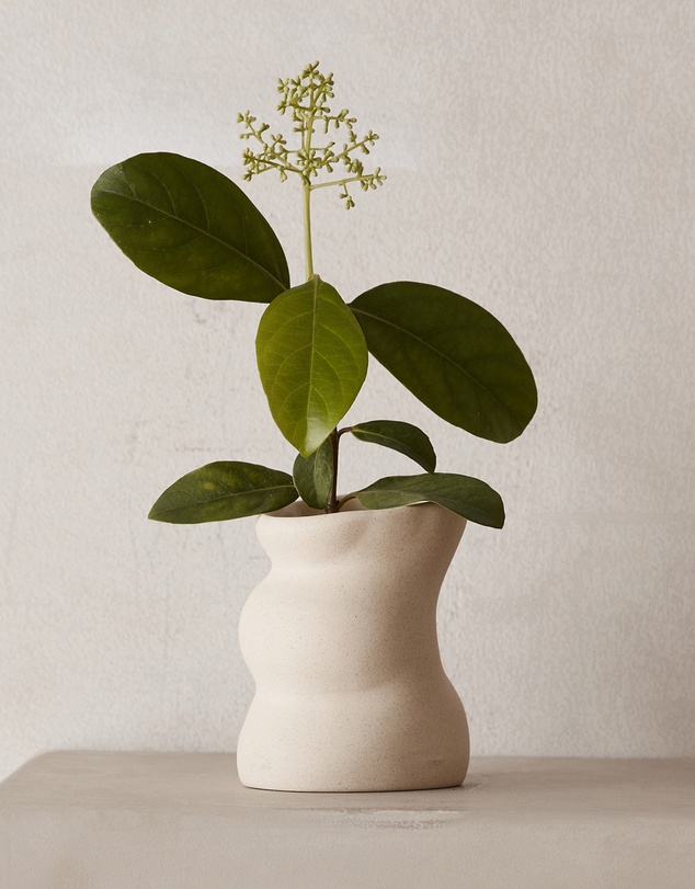 Black Blaze - Vetiver & Fig Ceramic Candle