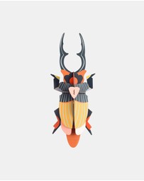 Studio Roof  - Wall Art Beetles A4