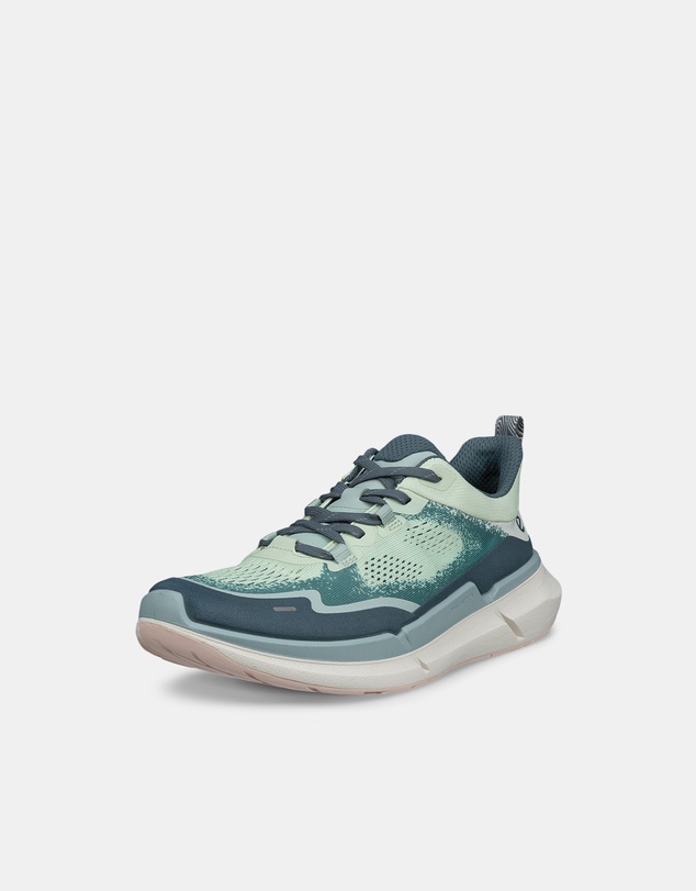 ECCO - ECCO Biom 2.2