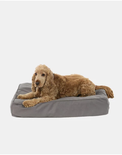 Mog & Bone - Classic Cushion Dog Bed - Mocha