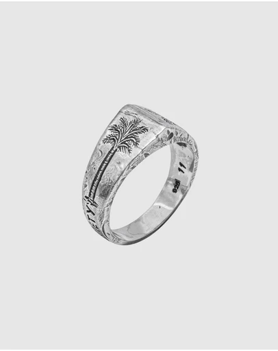 Haze & Glory - ICONIC EXCLUSIVE - Coconut Society Signet Ring in 925 Silver