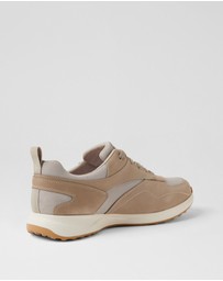 Rockport - Harmont Ro