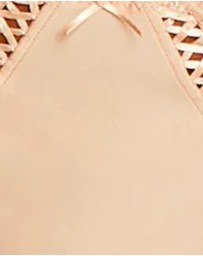 Sans Complexe - Amélie Microfibre & Lace Bikini Brief