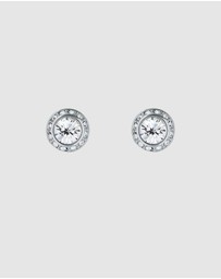 Ted Baker - Soletia Solitaire Sparkle Crystal Stud Earrings