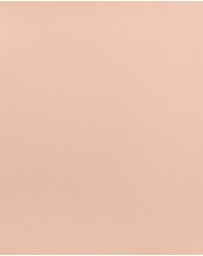 Sans Complexe - Perfect Touch High Waist Shaping Thong