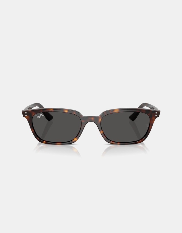 Ray-Ban - RB4456