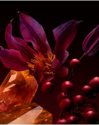 BOSS - Hugo Boss The Scent Elixir for Her 50ml