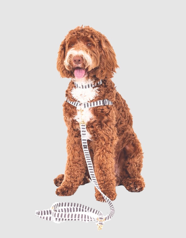 Mog & Bone - Hemp Dog Harness - Black Mosaic Print