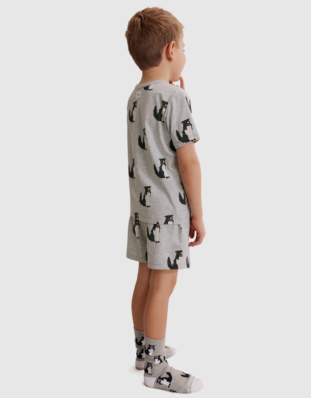 Country Road - Australian Cotton Border Collie Pyjama Set