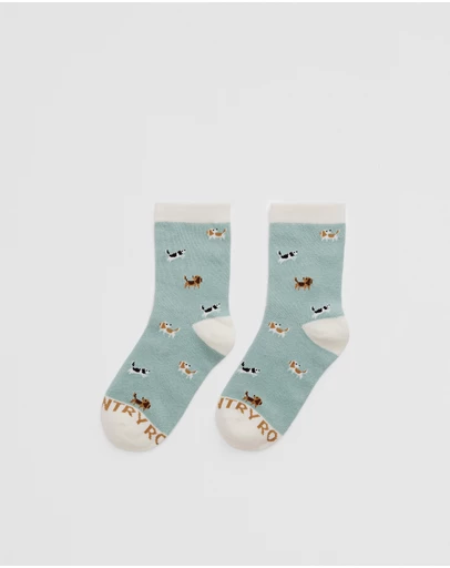 Country Road - Dog Sock