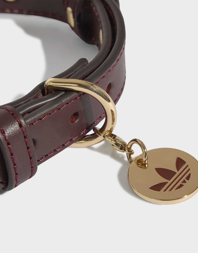 adidas Originals - adidas Pet Collar