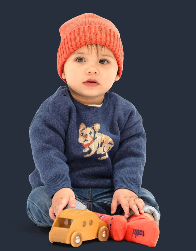 Toshi - Organic Pullover Storytime