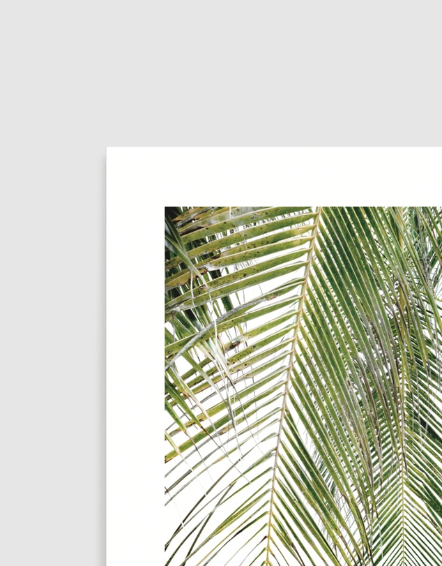 Olive et Oriel - Seaside Palm Art Print
