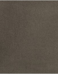 Johnny Bigg - Charlie Canvas Short