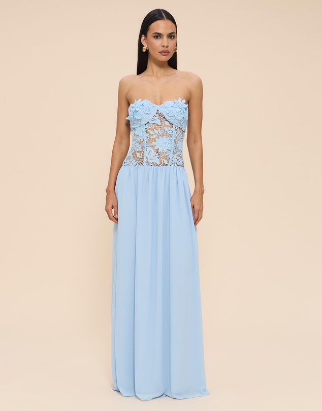 CHANCERY - Greta Strapless Maxi Dress
