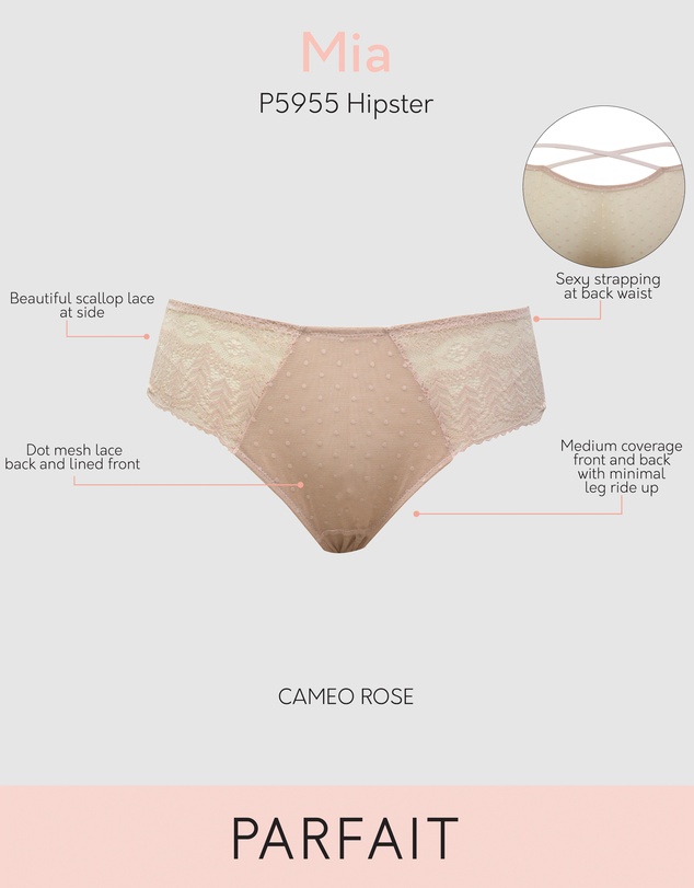 Parfait - Mia Sheer Mesh & Lace Hipster Brief