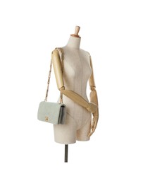 Pre-Loved by Azura Reborn - Pre-Loved Quilted Shearling Chain Flap