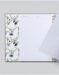 Write to Me - Bump Pregnancy Journal Boxed