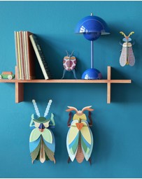Studio Roof  - Wall Art Beetles A4