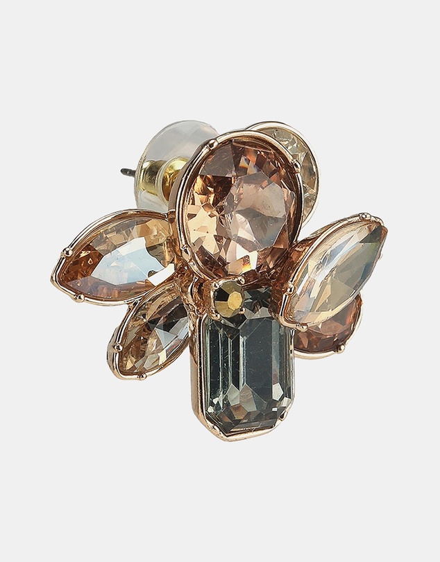 ALDO - Brocla Earrings