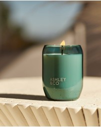 Ashley & Co - Waxed Perfume Outdoor with Citronella 310g
