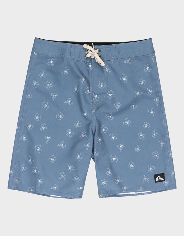 Quiksilver - Boys 8 to 16 Everyday 17