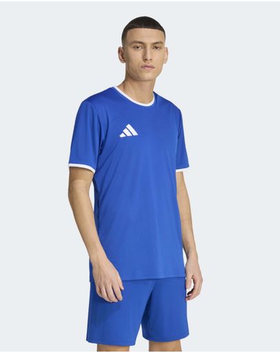 Royal Blue / White