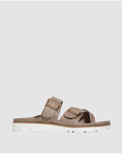 Taupe