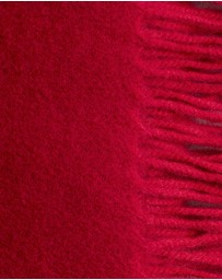 & Other Stories - Fringed Wool Blanket Scarf