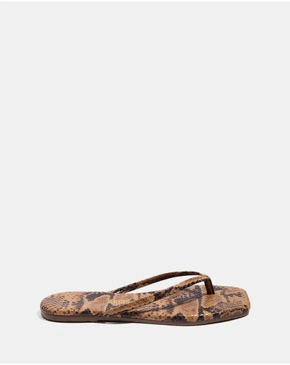 Tkees - Lily Square Toe Exotics