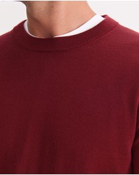 Sportscraft - Merino Crew Neck Knit