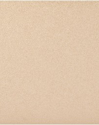Olga Berg - Precious Metallic Slimline Clutch