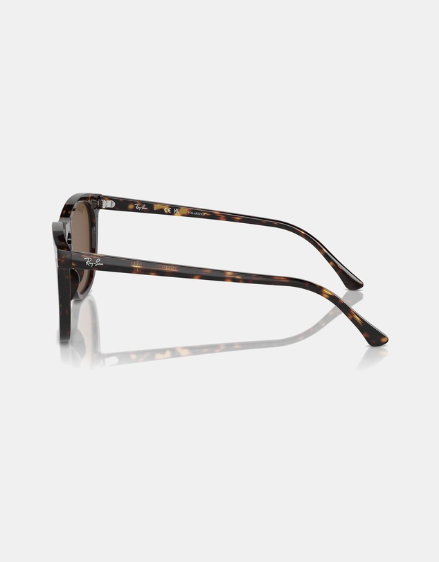 Ray-Ban - 0RB2210