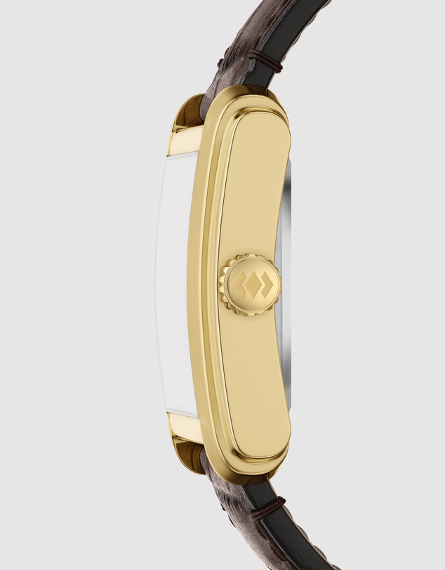 Fossil - Carraway Brown Analogue Watch