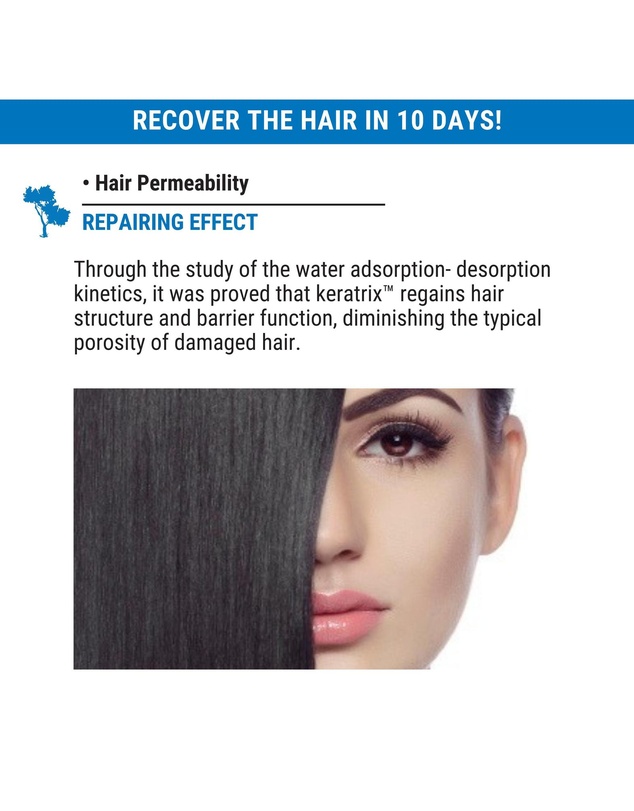 Silk Oil of Morocco - Silk Oil of Morocco - The Repair Protein Argan Collection (Everything You Need)