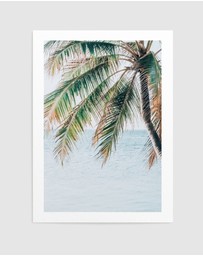 Olive et Oriel - Maldivian Palm II Art Print