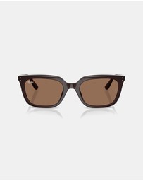 Ray-Ban - 0RB4439D