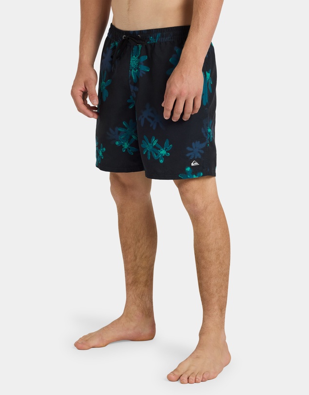 Quiksilver - Mens Everyday Printed 17